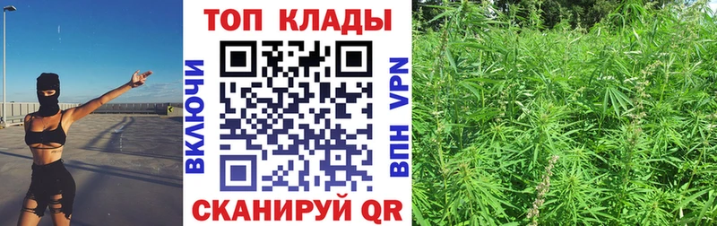 Сколько стоит Саяногорск Гашиш  Марихуана  Псилоцибиновые грибы  МЕФ  СОЛЬ  Амфетамин 