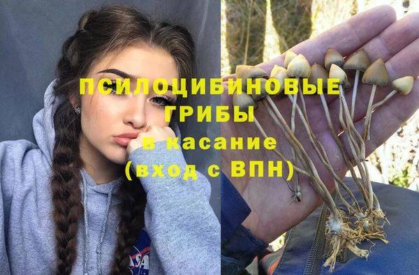 марки lsd Балабаново