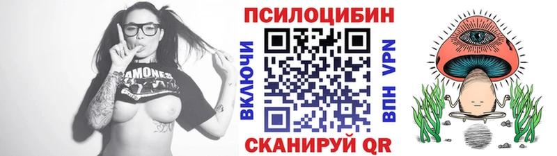 Псилоцибиновые грибы Psilocybe цена наркотик Саяногорск